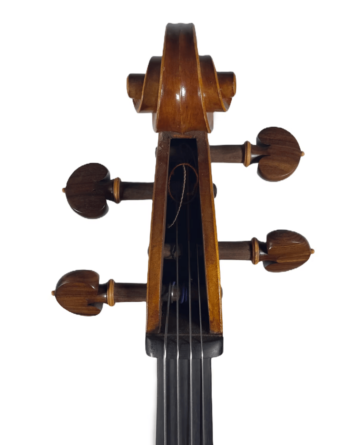 Violoncelo modelo Montagnana envernizado no ateliê de Luteria Fagundes em 2021